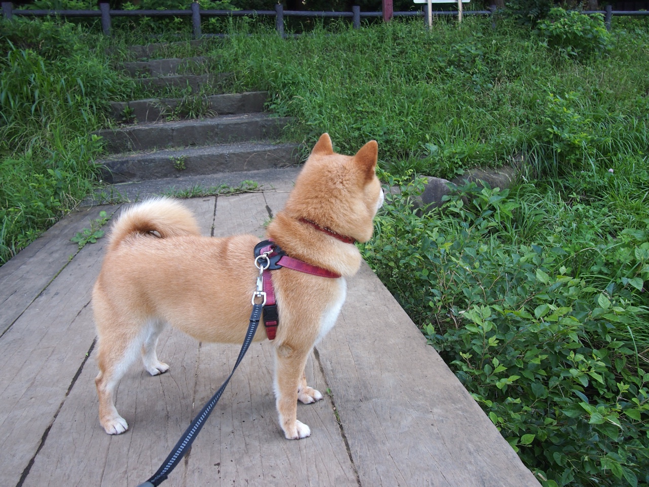 Kaiyun(中国)开云-_世界巡回挑战赛：不断突破自我，挑战极限_，世界巡回总决赛