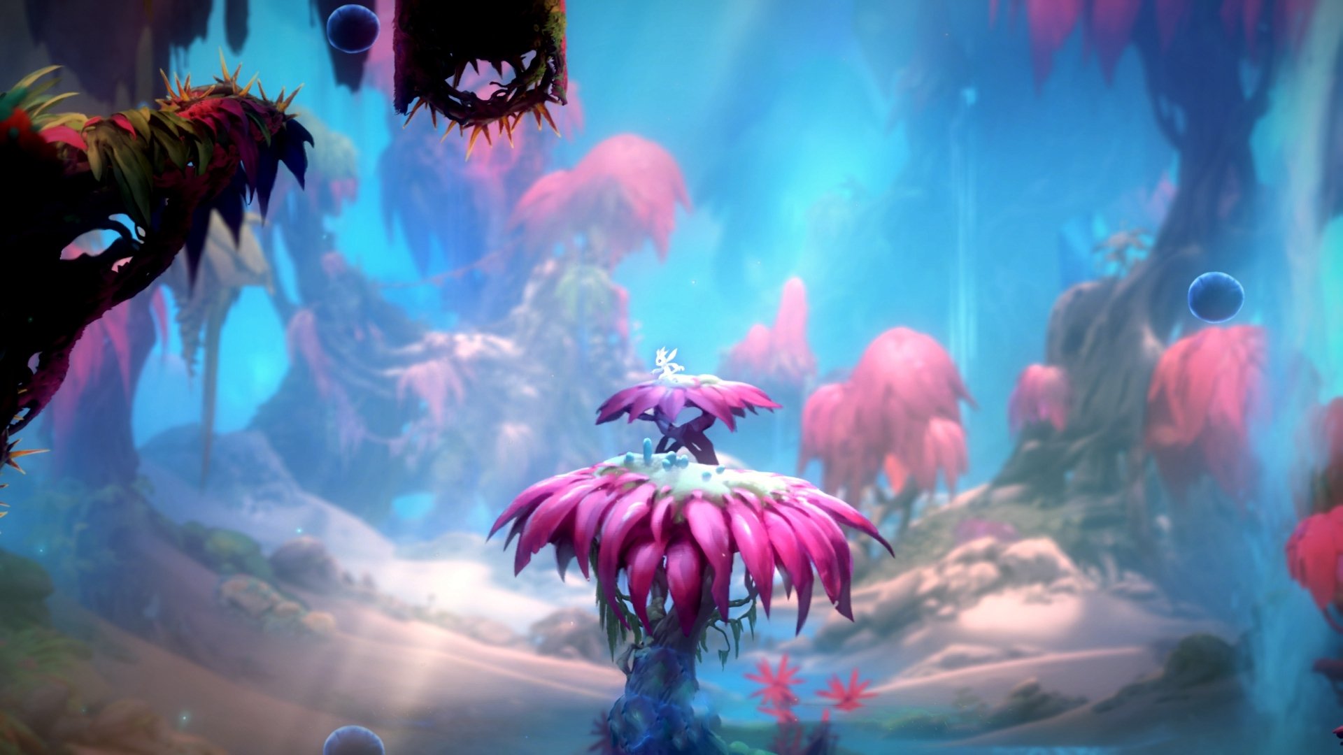 _海底水下运动竞技:探索未知海域_,未知海底生物