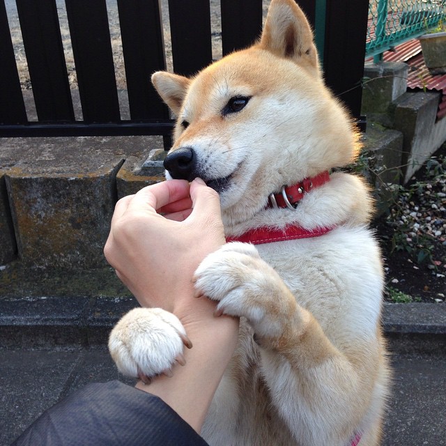 开云官方-中国足球宣传片获国际大奖，国际影响力提升，中国足球宣传片获国际大奖,国际影响力提升了吗