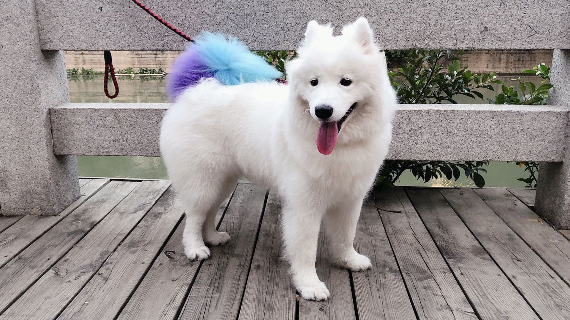 篮球青少年比赛规则细节调整完善，青少年篮球赛怎么分年龄