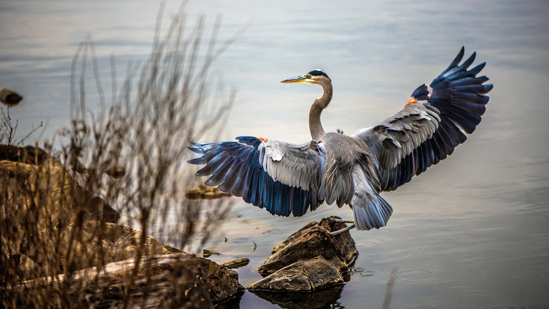 英超发挥震撼，精彩反击与战术变化成为亮点，英超当下最流行的战术打法, 或将引领世界足球潮流!