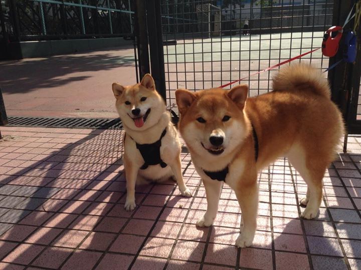 亚洲新人篮球友谊赛引爆热度，实力对决精彩绝伦，亚洲篮坛呈现出新的格局