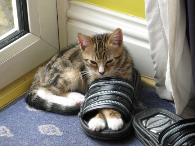 球队在比赛中展现出团结一心的团队精神，球队团结一致的说说