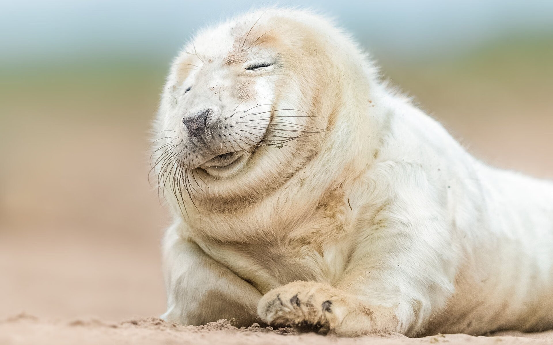 紧张足球比赛中球队实力横扫对手,足球比赛面对强大的对手怎么安排