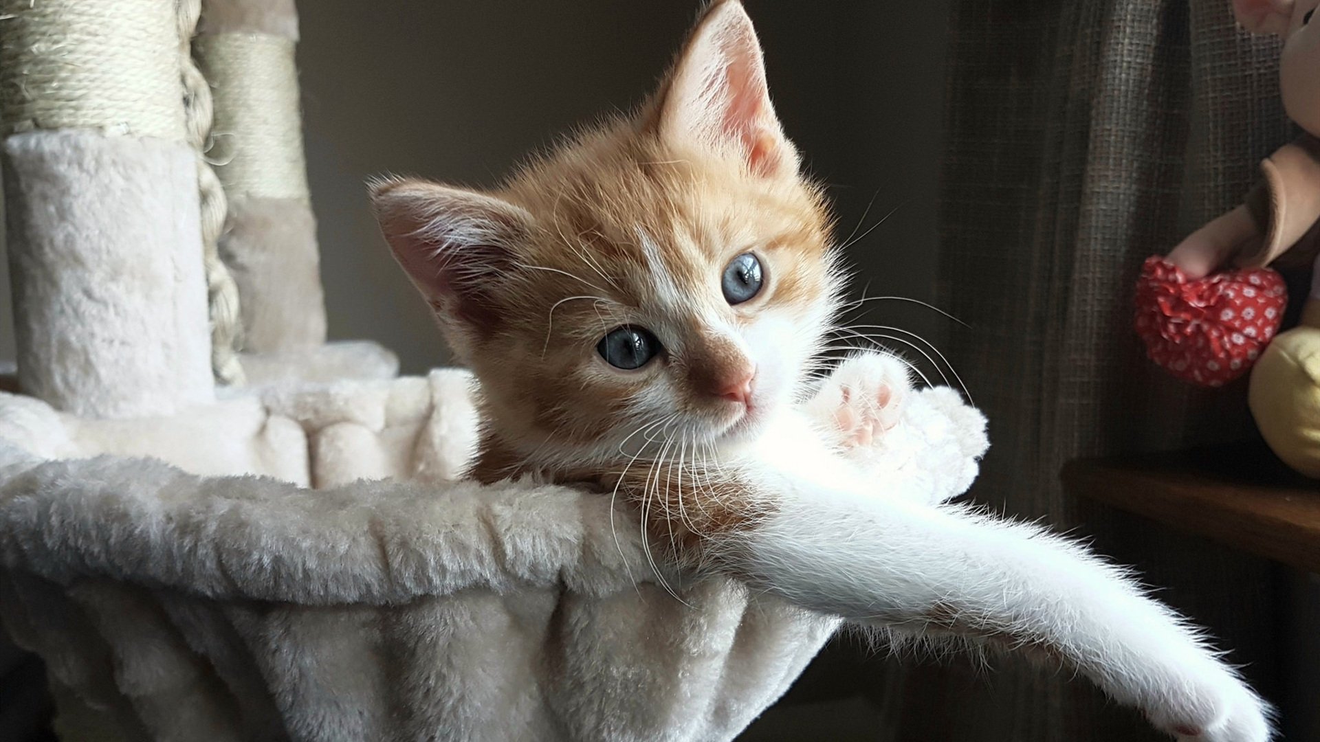 开云·体育官网-阿根廷奥运队将帅一心，势不可挡，阿根廷奥运阵容