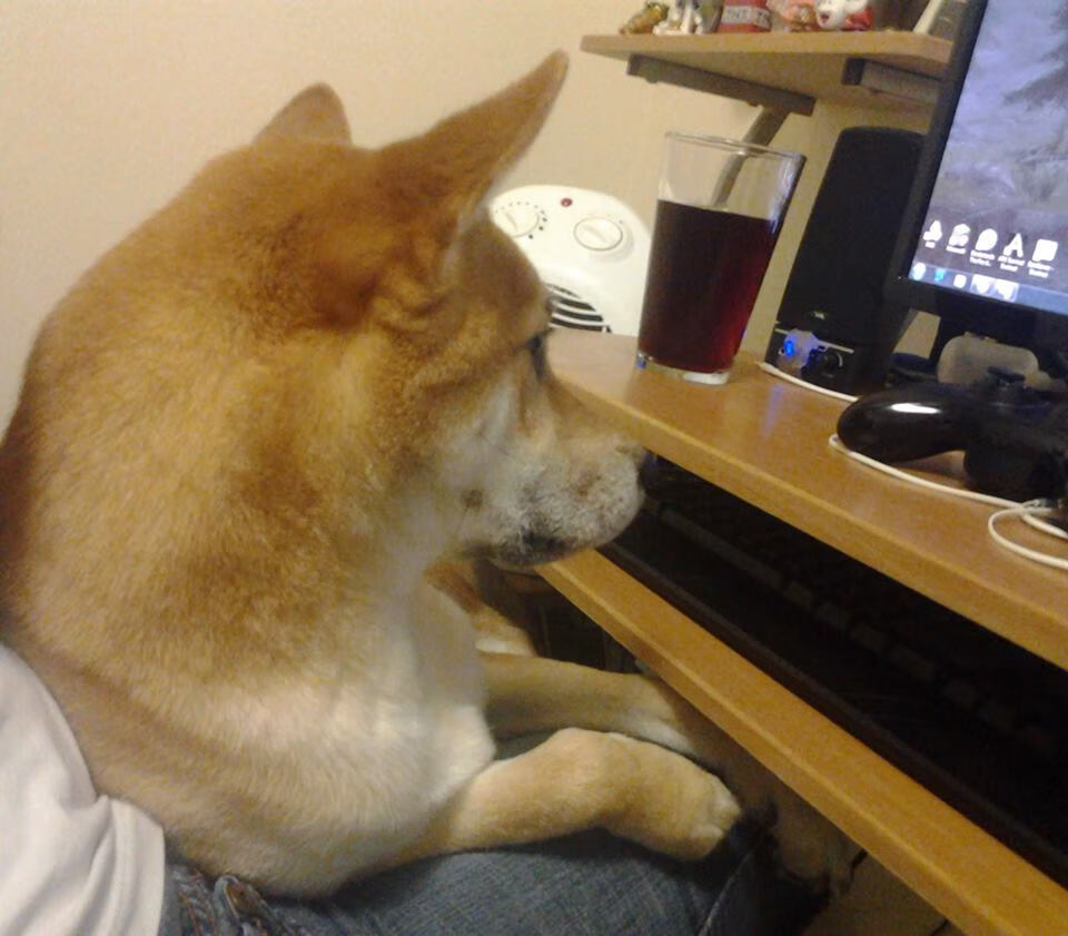 开云官方网站-韩国文化传播力持续增强，韩国文化传播力持续增强