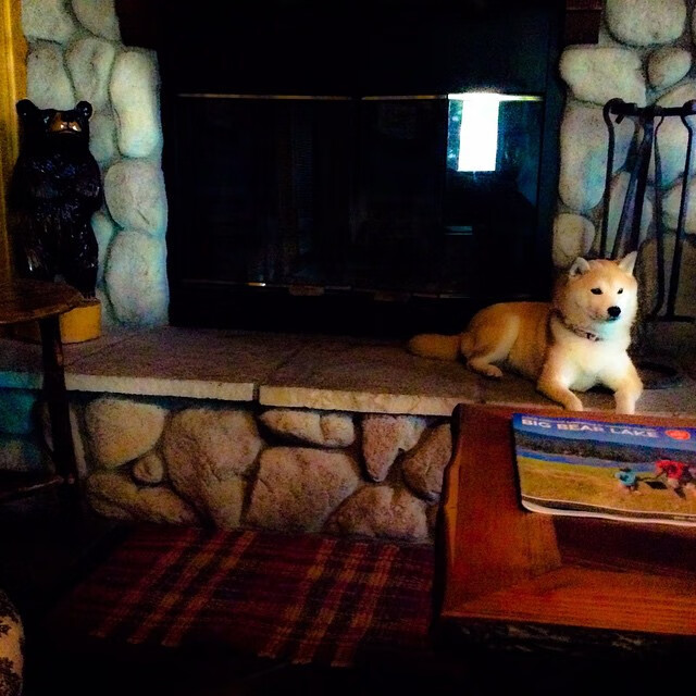 韩国文化传播力持续增强,韩国文化传播力持续增强