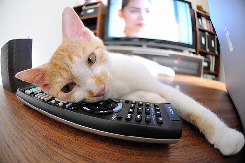 全国青少年趣味障碍跑激发户外运动热情,户外游戏障碍跑