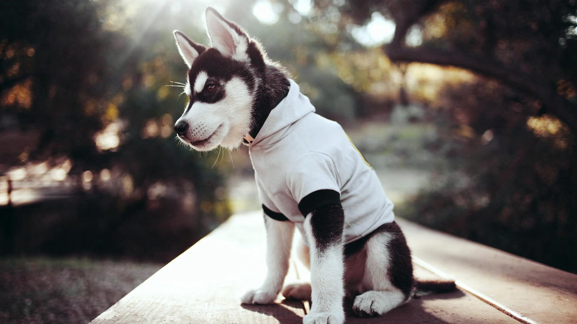 kaiyun体育综合-国足球员得分手段多样性分析，国足行为