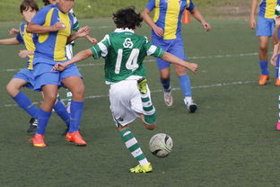 开云·体育官网APP下载-英超球队引入神经科学干预提升定位球专注度的实证研究