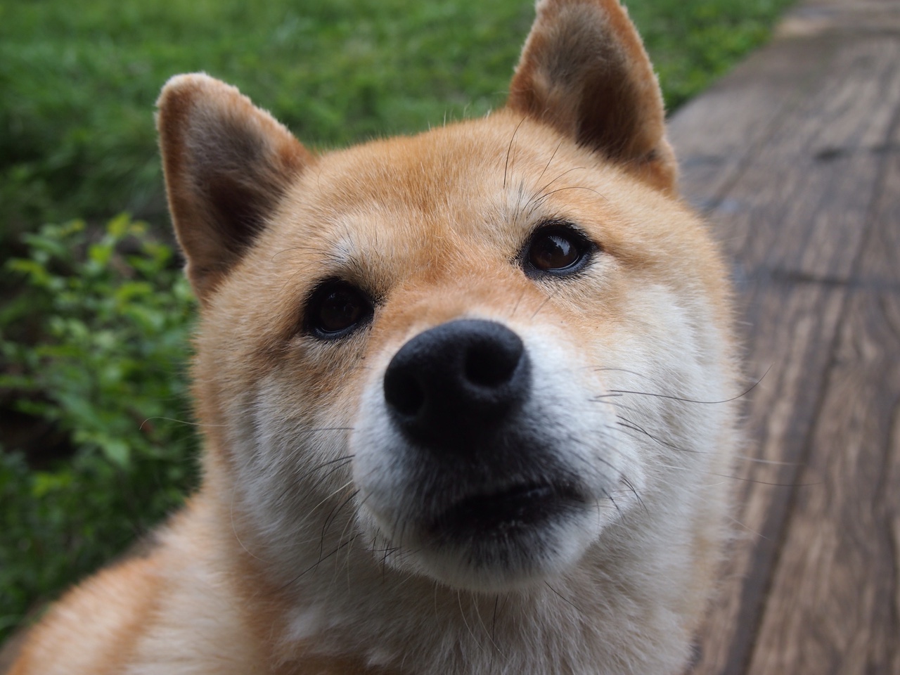 英超球队引入神经科学干预提升定位球专注度的实证研究