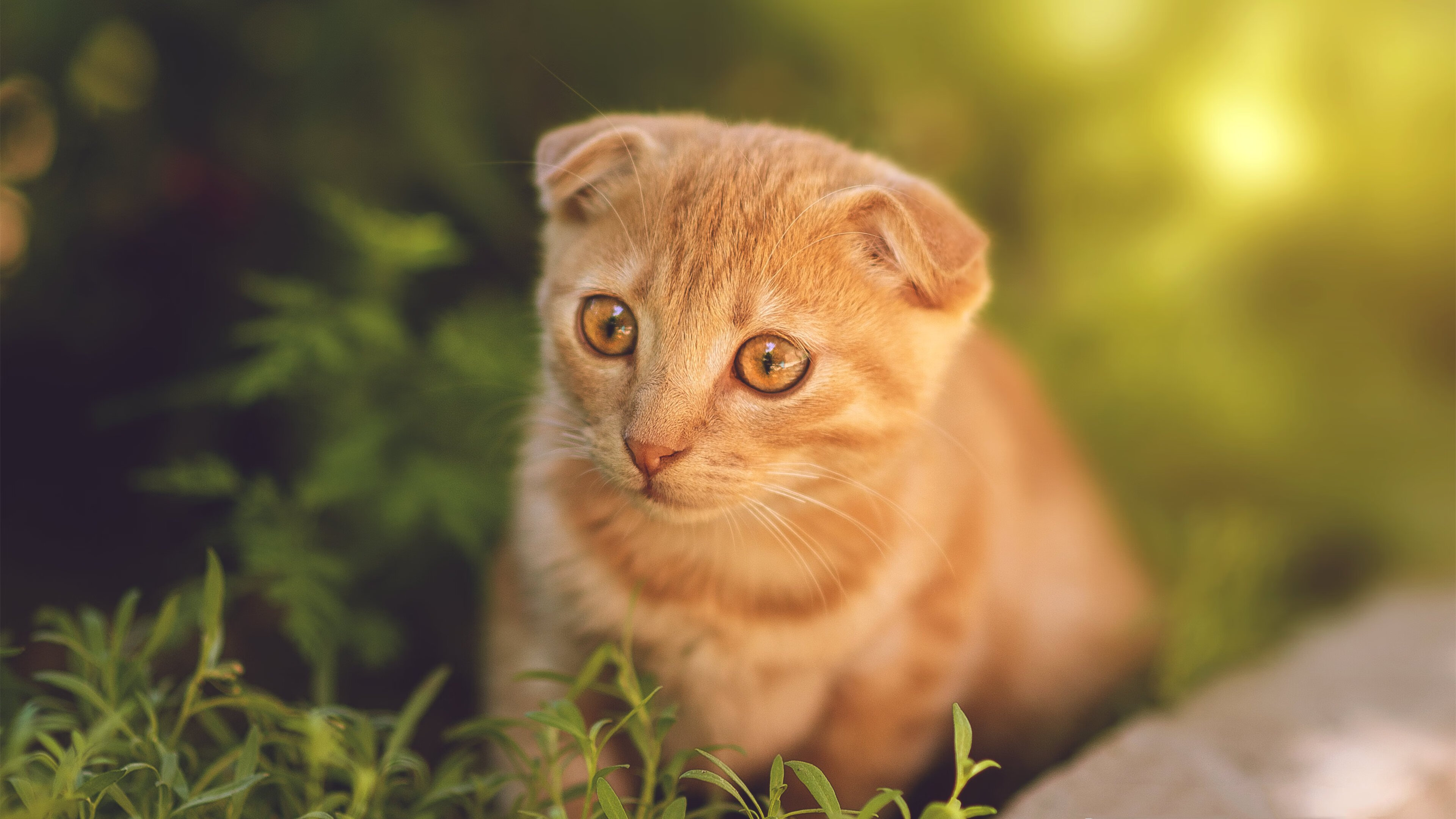 尤文图斯攻守转换更加流畅高效，尤文图斯转出球员