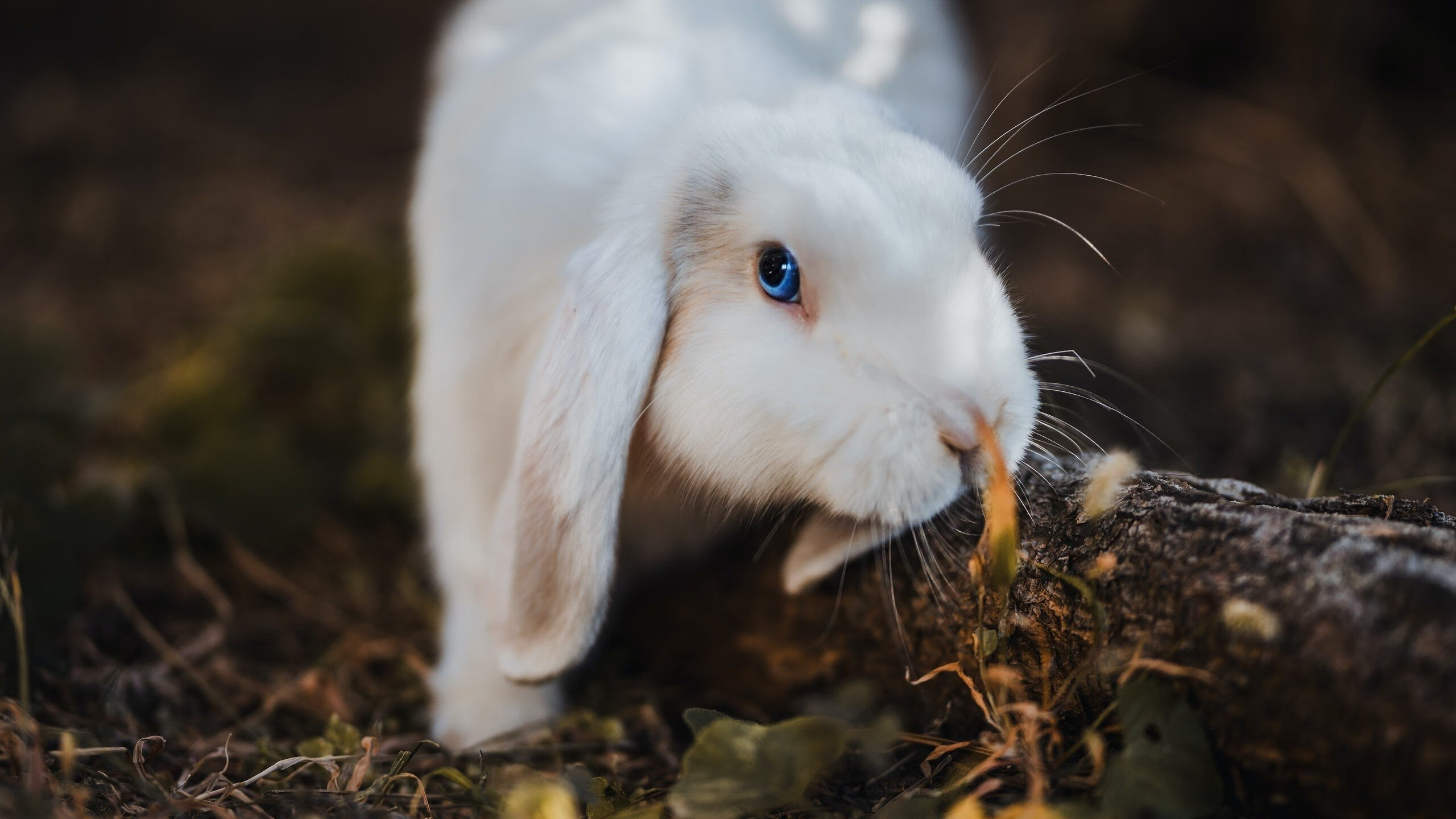 Kaiyun APP-轻艇马拉松鸣枪，选手湖中竞风流，赛艇马拉松