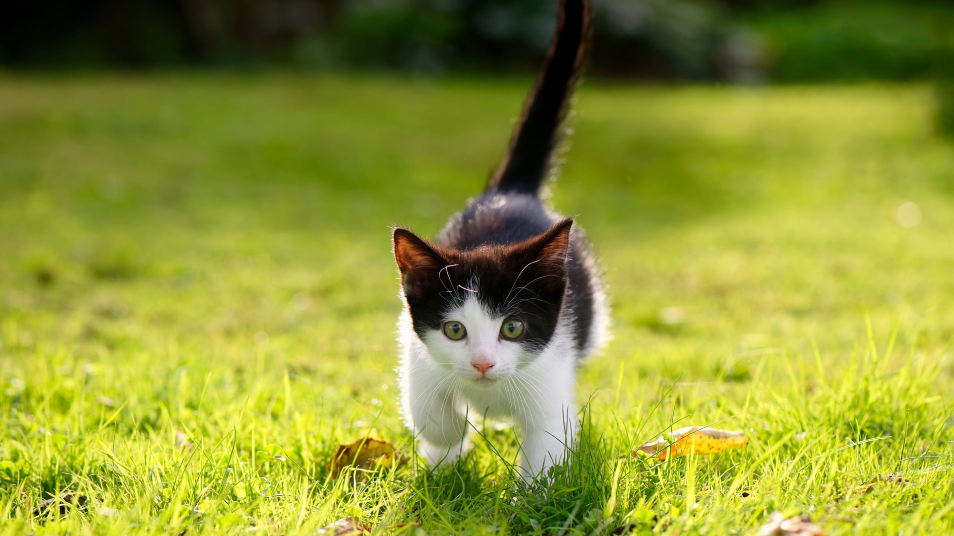 Kaiyun官方登录入口-中国举重队发布备战世锦赛阶段目标与训练方案，举重世锦赛2022