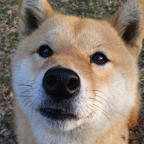 中国足球青训课程将视频反馈作为日常训练环节,中国足球青训补偿及培训费