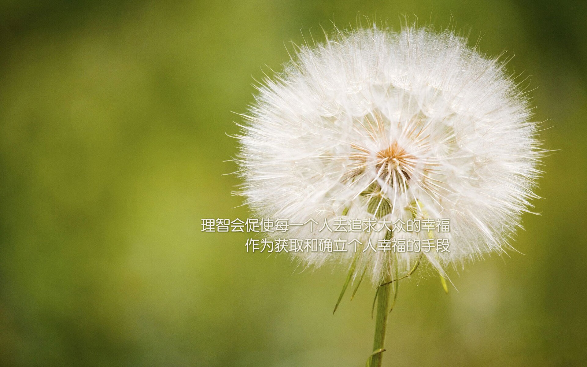 国家运动康复中心公布最新物理治疗技术成果，康复物理治疗学校排名