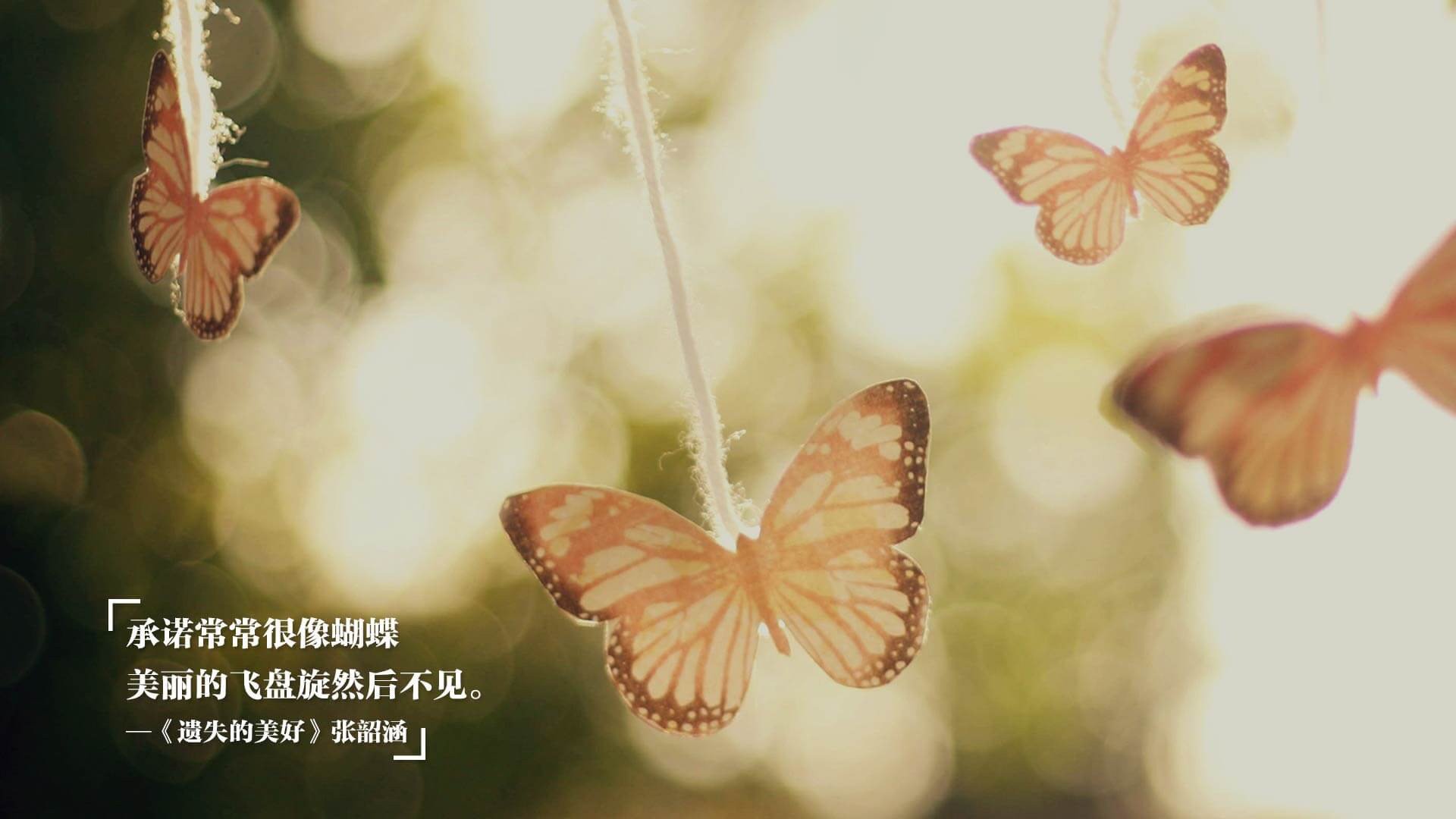 布克谈训练细节决定比赛成败，布克训练照