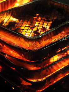 开云网页版-森林狼主场布景焕然一新增强品牌识别度，森林狼logo