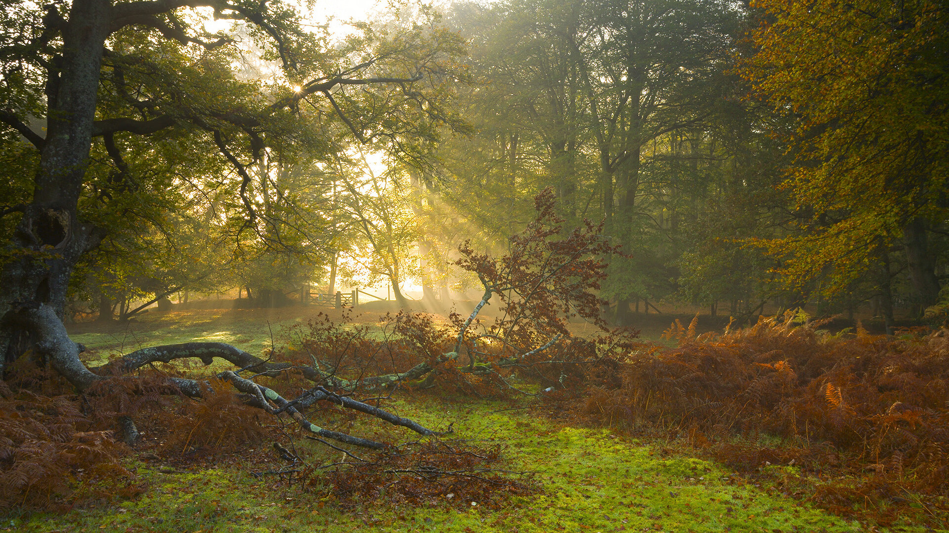 欧洲杯战局多变：创新战术引领潮流！，欧洲杯方案