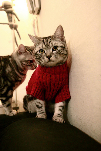 游泳比赛中节奏控制意识强化,游泳节奏视频教学