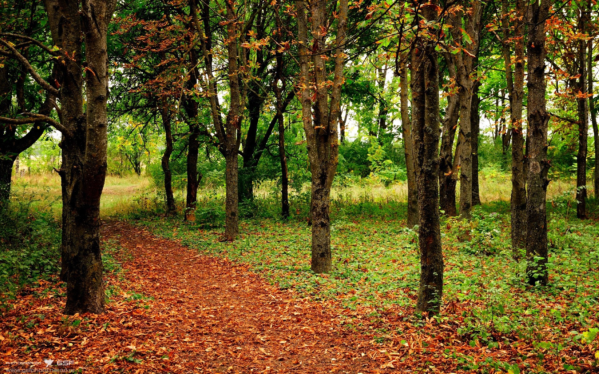 跳水动作优雅与精准兼备，跳水 动作